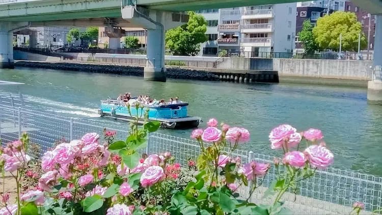 地図画像
